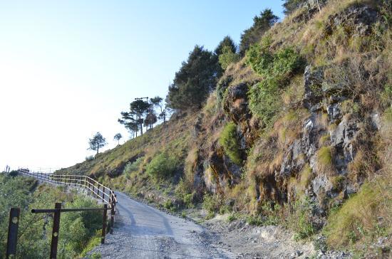 Benog Wildlife Sanctuary